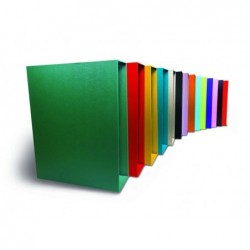 CAJA ARCHIVADOR COLOR
