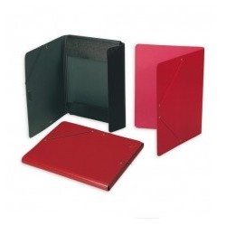 CARPETA GOMAS CARTON FOLIO...