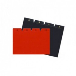 INDICE PLASTICO FICHERO...