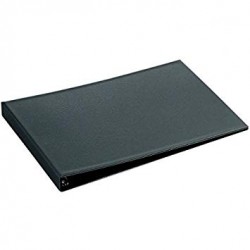 CARPETA PLASTICO 4A 25MM...