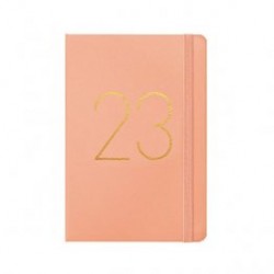 AGENDA TERMO PU A5 S/V ROSA...